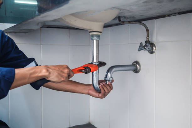 Best Clogged Drain Plumber  in Wren, AR